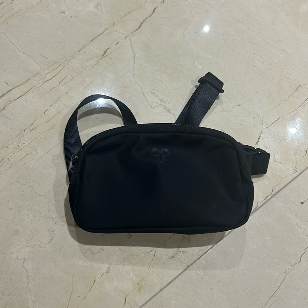 Aritzia TNA belt bag